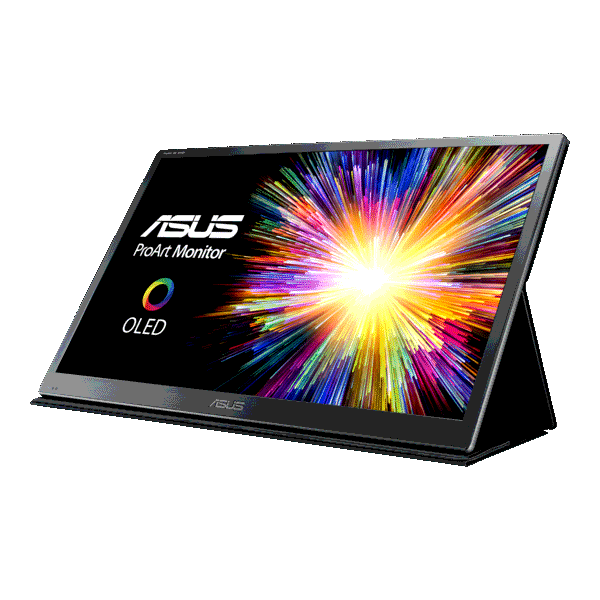 Asus ProArt Display PQ22UC