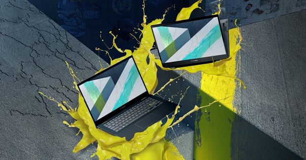 Asus Vivobook Flip 14 TM420 (AMD Ryzen 5000 Series)