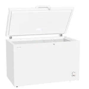 Hisense Pose-libre congélateur coffre, Blanc, 384 l