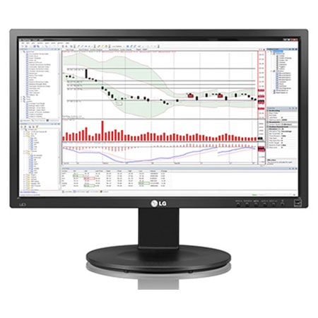 LG 24" (61 cm) Moniteur LED IPS 16/9ème