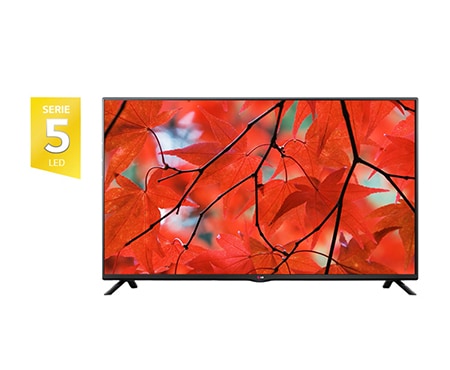 LG 32'' (80cm) TV LCD LED