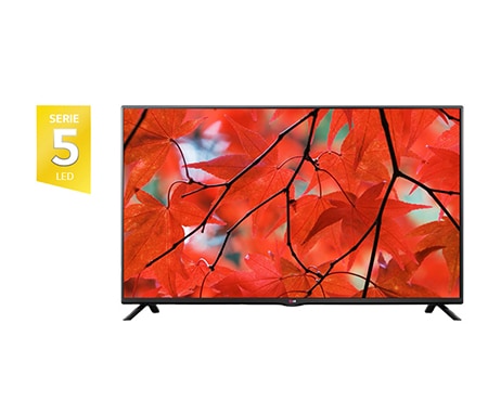 LG 49'' (123cm) TV LCD LED