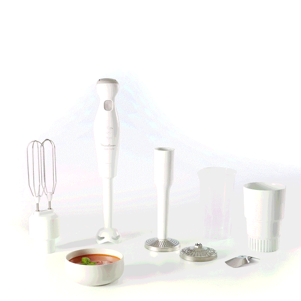 Moulinex Robot Marie, Pied mixeur, 2 lames ZELKROM, 4 accessoires, 450 W, Blanc