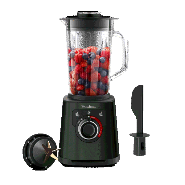 Moulinex Perfectmix+, Blender, Bol plastique 2L, 1200W, 3 programmes, 6 lames Powelix life