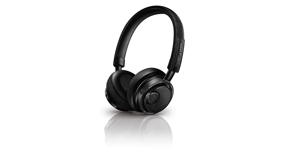 Philips Fidelio Fidelio