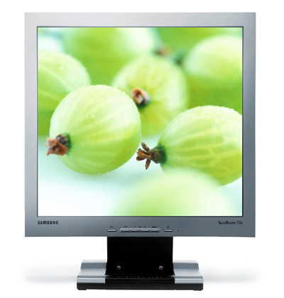 Samsung 172S