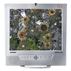 Samsung 172MP