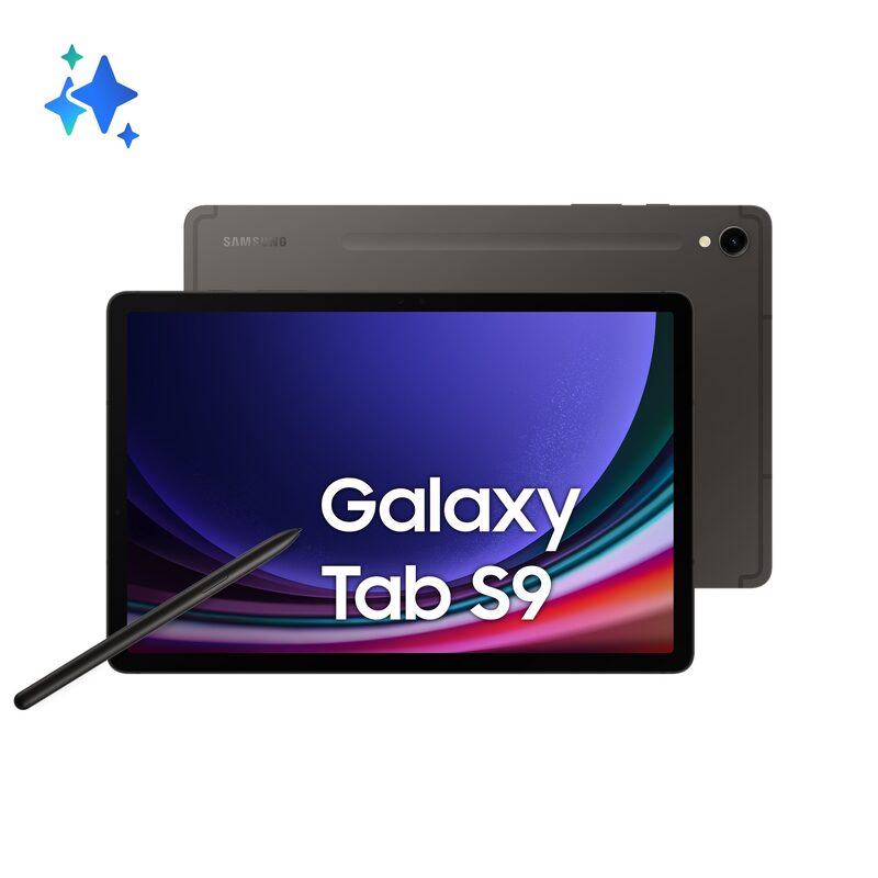 Samsung Galaxy Tab S9 (11'' , Wi-Fi) (SM-X710)